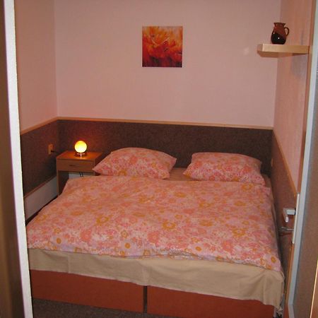 Apartma Gabriela โรกีนีซ นัด ยีเซอโร ภายนอก รูปภาพ