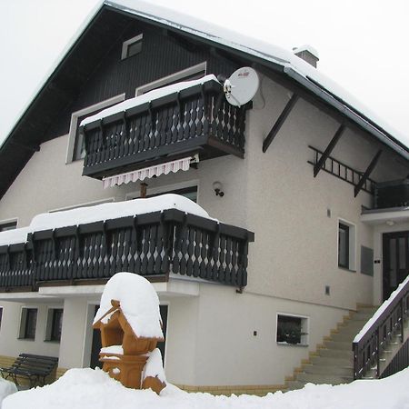 Apartma Gabriela โรกีนีซ นัด ยีเซอโร ภายนอก รูปภาพ